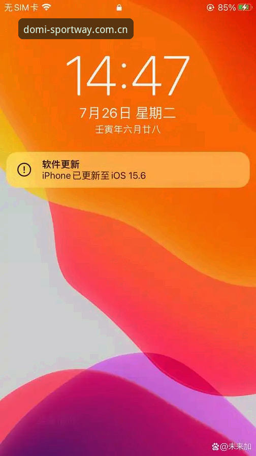 多米体育版本更新后,怎样用多米体育官网正版入口最快完成升级?